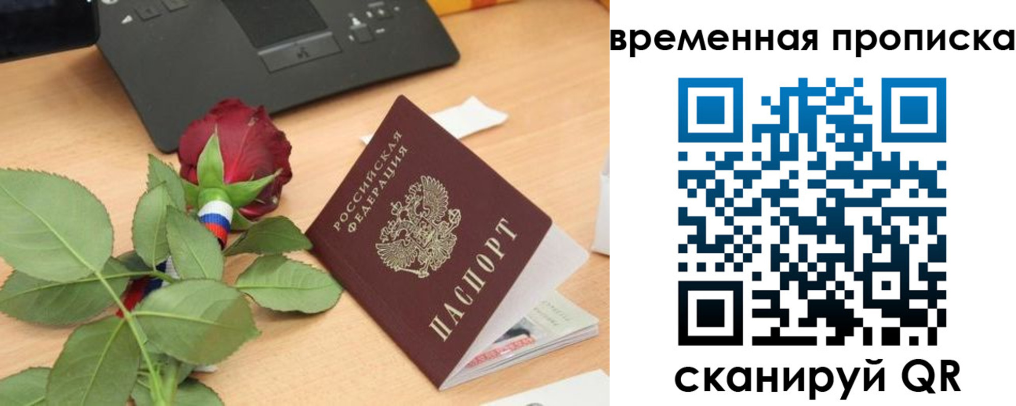 временная регистрация поиск в Опочке